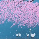 미대언니 - 강진군 중앙로 119 | 미대언니