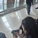 제주여행/김포공항에서 제주 렌터카회사 이미지