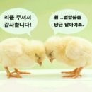 하림성 이미지