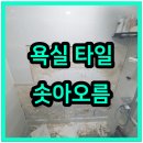 사동 푸른마을5단지 504동뒤 | 안산 상록구 욕실타일솟음 수리 후기