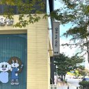 도그플러스 애견미용 | 광교애견미용 오마이도그 비숑가위컷 후기