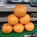 진전면행정복지센터 이미지