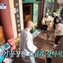 김숙농장 이미지