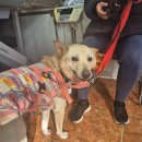 동심동물병원 이미지