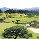 호수와 소나무 이미지