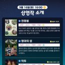 청학2동-9 이미지