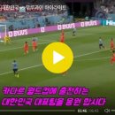 카타르 월드컵 축구 대표팀 응원합시다 이미지