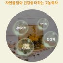 어가든꽃차전문카페 | 자스민꽃차 추천, 중국자스민차 집에서 간편하게 즐기는 보리차마을 자스민차 원액 후기