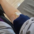 알약국 | 위, 대장 내시경 전 음식, 알약 후기, 실비 보험 청구 방법