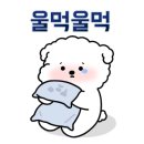 부산명지지구아이메디컬 이미지