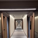 국제호텔 | 오키나와 태교여행 국제거리 호텔 컬렉티브 후기