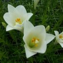 화림농장 이미지