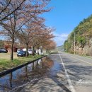 유곡천다목적캠핑장 | 경남 의령 화장실 있는 노지 차박 캠핑장 유곡천 유원지