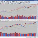 (주)다원코리아 이미지