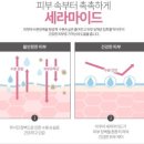 kbs아트비전뷰티미용학원 - 창원시 마산회원구 3·15대로 727 | kbs아트비전뷰티미용학원