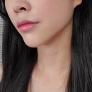 드림라인