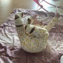 푸른소아과의원 이미지