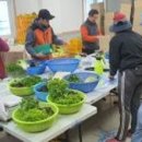 윤정희농장 이미지