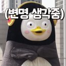 지금까지 모은 펭수 이미지 이미지