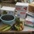 선인농장 이미지