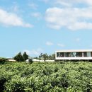 긴돌담집 이미지