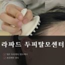 탈모야안녕 | 대구 모리케어생식 출산후 탈모고민해결 &#39;라파드 두피탈모센터 본점&#39; 네번째 솔직후기