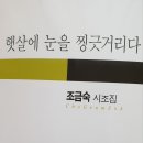 ＜햇살에 눈을 찡긋거리다＞ 조금숙 시조집을 읽고 이미지