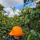 문기 농장 이미지