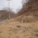 왕순례묘 이미지