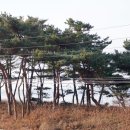 밧개플레이스 이미지