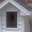 전원애견 이미지