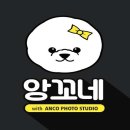 텐즈힐 애견미용 이미지