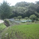 남궁농장 이미지