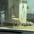 주미목장 이미지