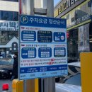 수내2길 | 강릉 길감자 주차 꿀팁 소스 조합 추천까지 다 알려드림