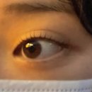 금손 언니들 | [대구 범어동 속눈썹] 금손언니 범어점 속눈썹펌 솔직 후기! 인생 컬 만나고 왔어요 ✨