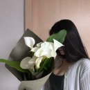 타티아르 이미지