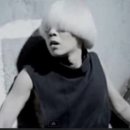 가경나음동물병원