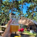 몽산포자동차야영장 이미지