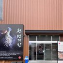 임산부 30주차 먹방폭발 하루 천안 맛집투어 제대로...낙지도사 / 천안 장원갑칼국수 내돈내산후기🤰🍜🍕💖