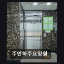 도로변(경인로 557) | [부평 요양병원/추천/후기] 주안하주요양원 방문자 리뷰로 본 실체