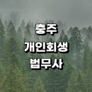 충주시 근처 개인회생 법무사사무소 추천 잘하는곳 개인파산 금액 상담 후기 개인회생대출