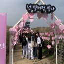 하늘공원라이브