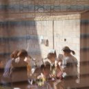 정하우스 이미지