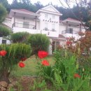 보성로뎀 이미지