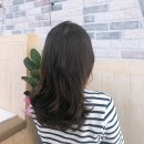 사파동184 이미지