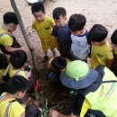 선화유치원 이미지