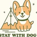 스테이독 이미지