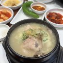 송도명품삼계탕 | 송도 삼계탕 오이삼계탕 인천대입구역 점심