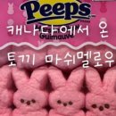 위니비니 롯데아울렛동부산점